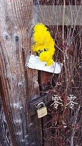 零零发钱包逾期不还会怎么样