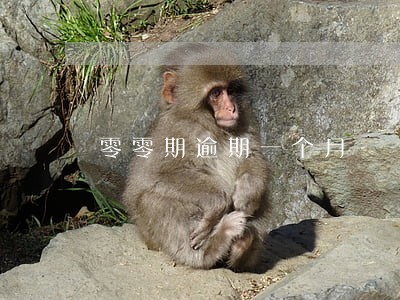 零零期逾期一个月 零零期逾期一个月
