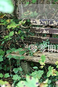 零零期逾期几天没事 零零期逾期几天没事