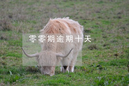 零零期逾期十天 零零期逾期十天