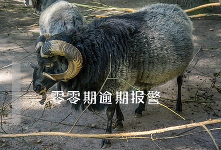 零零期逾期报警 零零期逾期报警