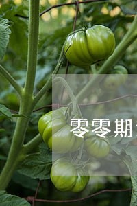 零零期逾期费合法吗 零零期逾期费合法吗