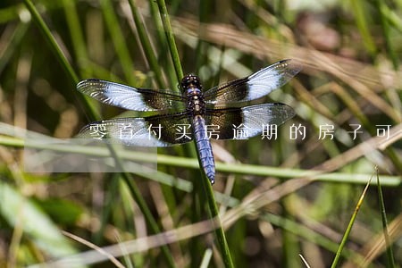 零首付买房逾期的房子可以买么 零首付买房逾期的房子可以买么