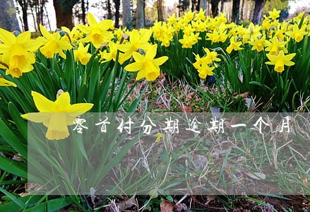 零首付分期逾期一个月 零首付分期逾期一个月