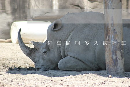 零首付车逾期多久被拖车 零首付车逾期多久被拖车