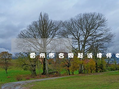 雷州市合同起诉律师收费 雷州市合同起诉律师收费