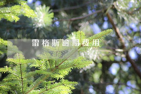 雷格斯逾期费用 雷格斯逾期费用