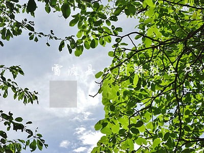 雷波县公司解散在线律师 雷波县公司解散在线律师