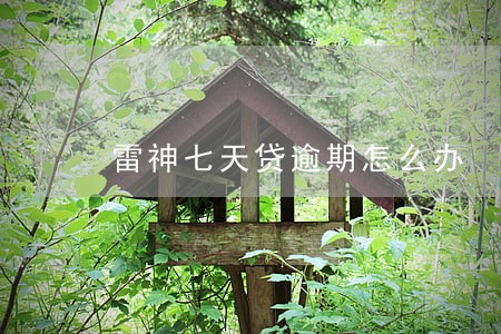 雷神七天贷逾期怎么办 雷神七天贷逾期怎么办