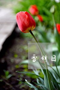 雷锋日法律咨询