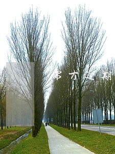 需方逾期付款的自 需方逾期付款的自