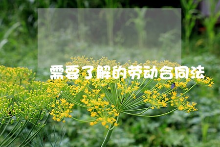 需要了解的劳动合同法 需要了解的劳动合同法
