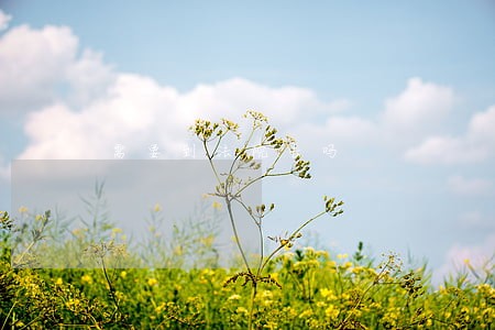 需要到法院去吗 需要到法院去吗