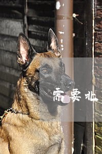 需要北京的法律援助 需要北京的法律援助