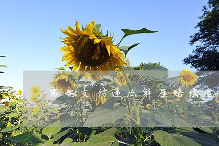需要支付违法解雇赔偿金 需要支付违法解雇赔偿金