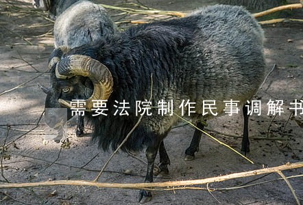 需要法院制作民事调解书 需要法院制作民事调解书