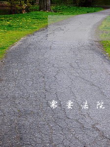 需要法院指定的鉴定所吗 需要法院指定的鉴定所吗