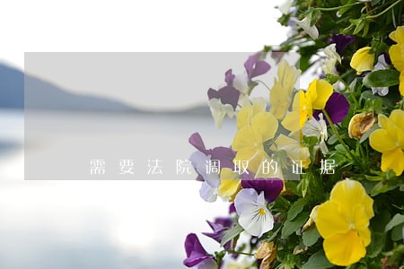 需要法院调取的证据 需要法院调取的证据