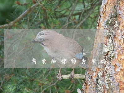 需要给律师费用吗 需要给律师费用吗