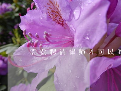 需要聘请律师才可以吗 需要聘请律师才可以吗