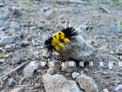 需要走法院程序重新起诉吗 需要走法院程序重新起诉吗