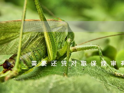 需要还贷对取保候审有帮助吗 需要还贷对取保候审有帮助吗