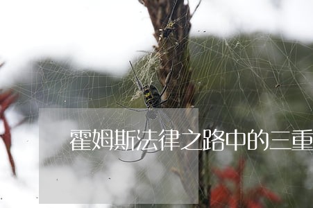 霍姆斯法律之路中的三重矛盾 霍姆斯法律之路中的三重矛盾