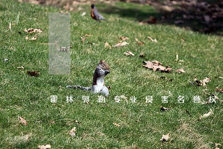 霍林郭勒专业侵害名誉权律师 霍林郭勒专业侵害名誉权律师