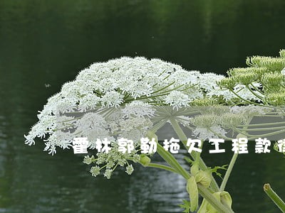 霍林郭勒拖欠工程款律师 霍林郭勒拖欠工程款律师