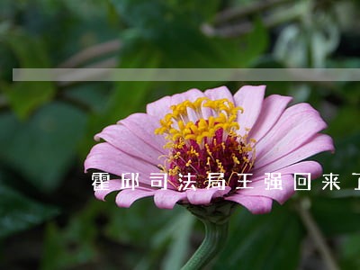 霍邱司法局王强回来了