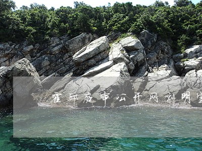 霍邱庭审公开网刘明宝