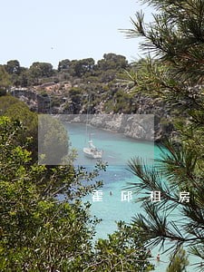 霍邱租房合同律师 霍邱租房合同律师