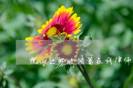 霞山区邮政储蓄在线律师