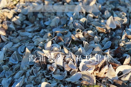 霞浦侵犯隐私权律师