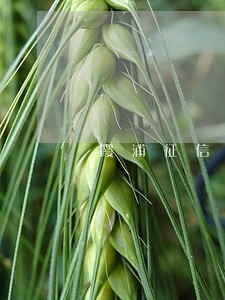 霞浦征信五年逾期4次 霞浦征信五年逾期4次