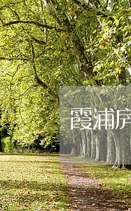 霞浦房贷连续逾期人员名单 霞浦房贷连续逾期人员名单