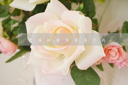 霞浦找律师要多少钱 霞浦找律师要多少钱