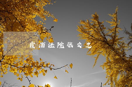 霞浦法院张文忠 霞浦法院张文忠
