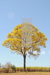 霞浦法院陈鹏辉 霞浦法院陈鹏辉