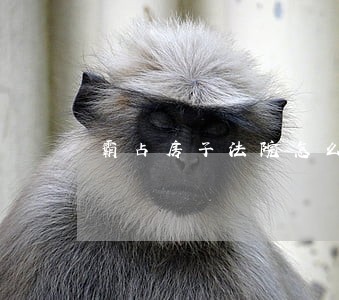 霸占房子法院怎么处理 霸占房子法院怎么处理