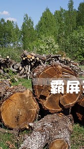 霸屏天下城主违法吗 霸屏天下城主违法吗