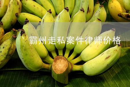 霸州走私案件律师价格 霸州走私案件律师价格