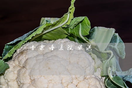 青云谱法院梁洪 青云谱法院梁洪
