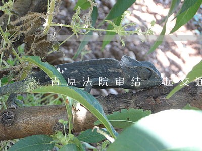 青原法院审结一起交通事故追诉案 青原法院审结一起交通事故追诉案
