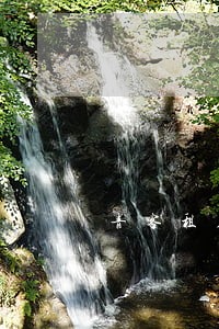 青客租房账单显示逾期 青客租房账单显示逾期