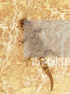 青客账单逾期