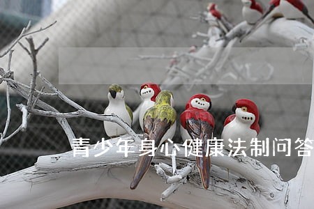 青少年身心健康法制问答 青少年身心健康法制问答