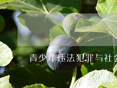 青少年违法犯罪与社会交往