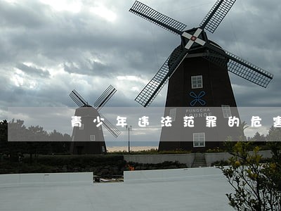青少年违法范罪的危害 青少年违法范罪的危害