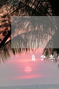 青少年逾期情况